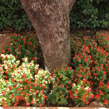 La Fornacina Εξοχικό σπίτι *